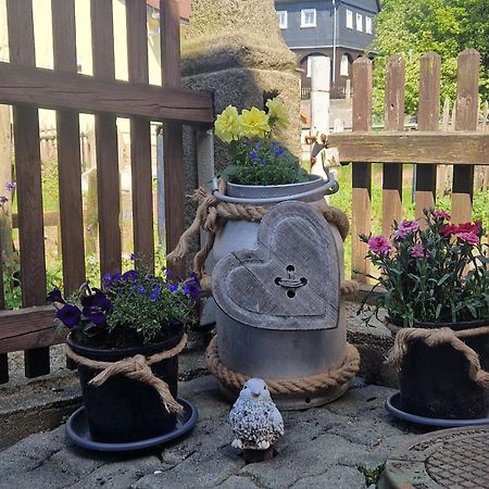 Haus Emma, Im Herzen Der Oberlausitz Kottmar Zewnętrze zdjęcie